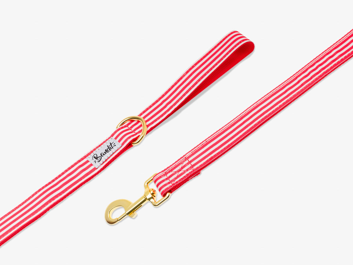Laisse pour chien rayé rouge et blanc