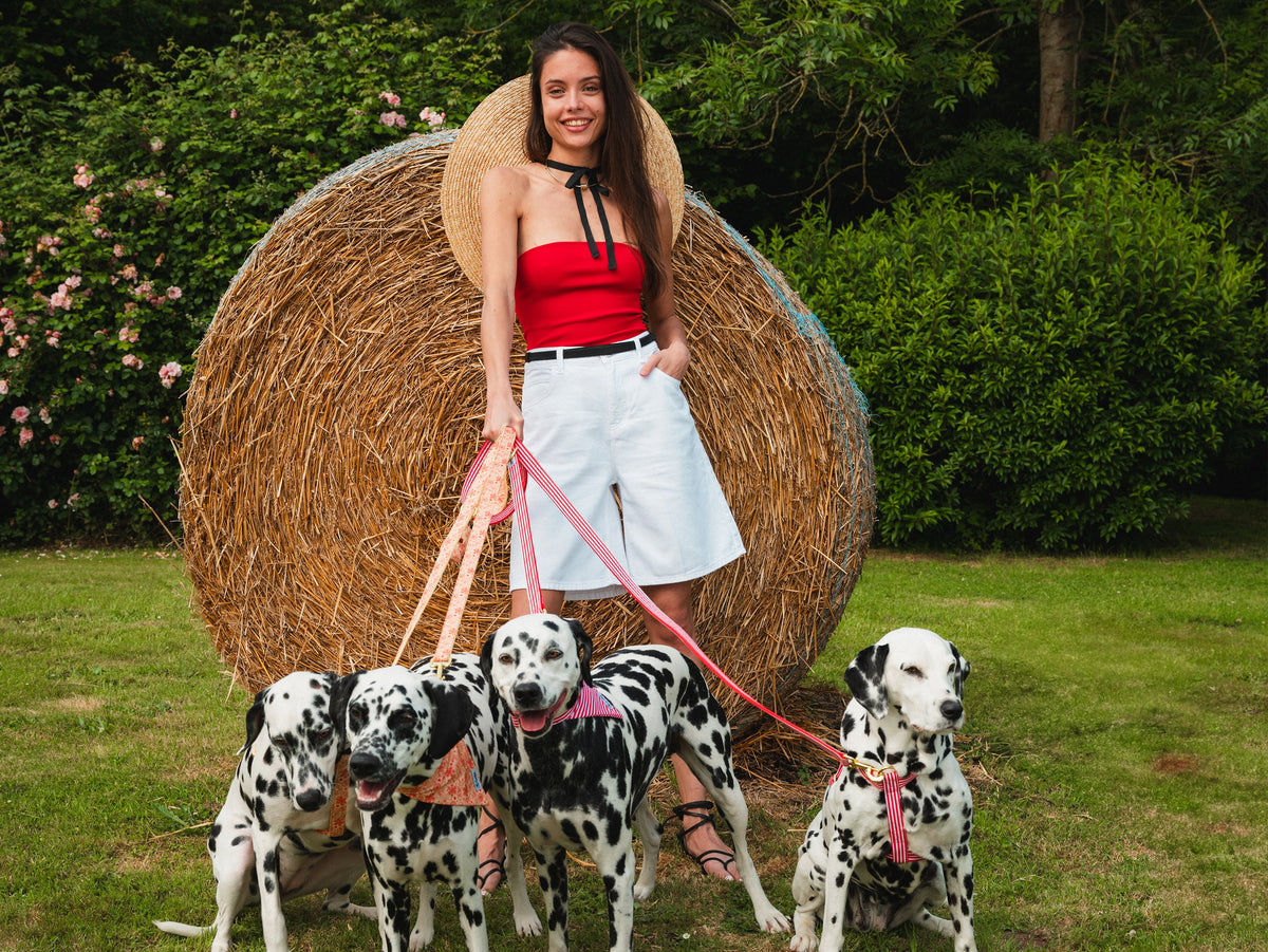 Laisse pour chien rayé rouge et blanc