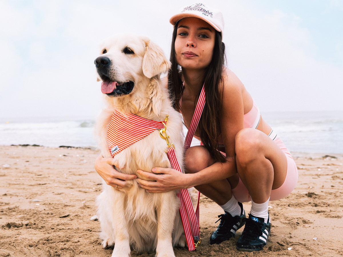 Laisse pour chien rayé rouge et blanc