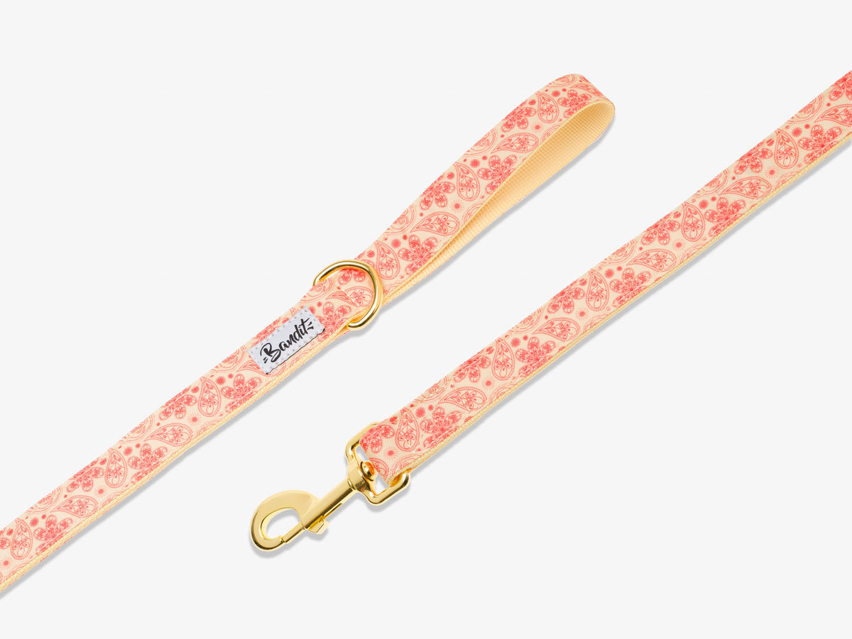 Laisse pour chien paisley jaune