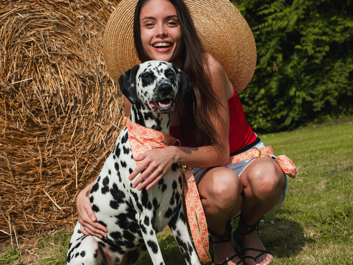 Laisse pour chien paisley jaune