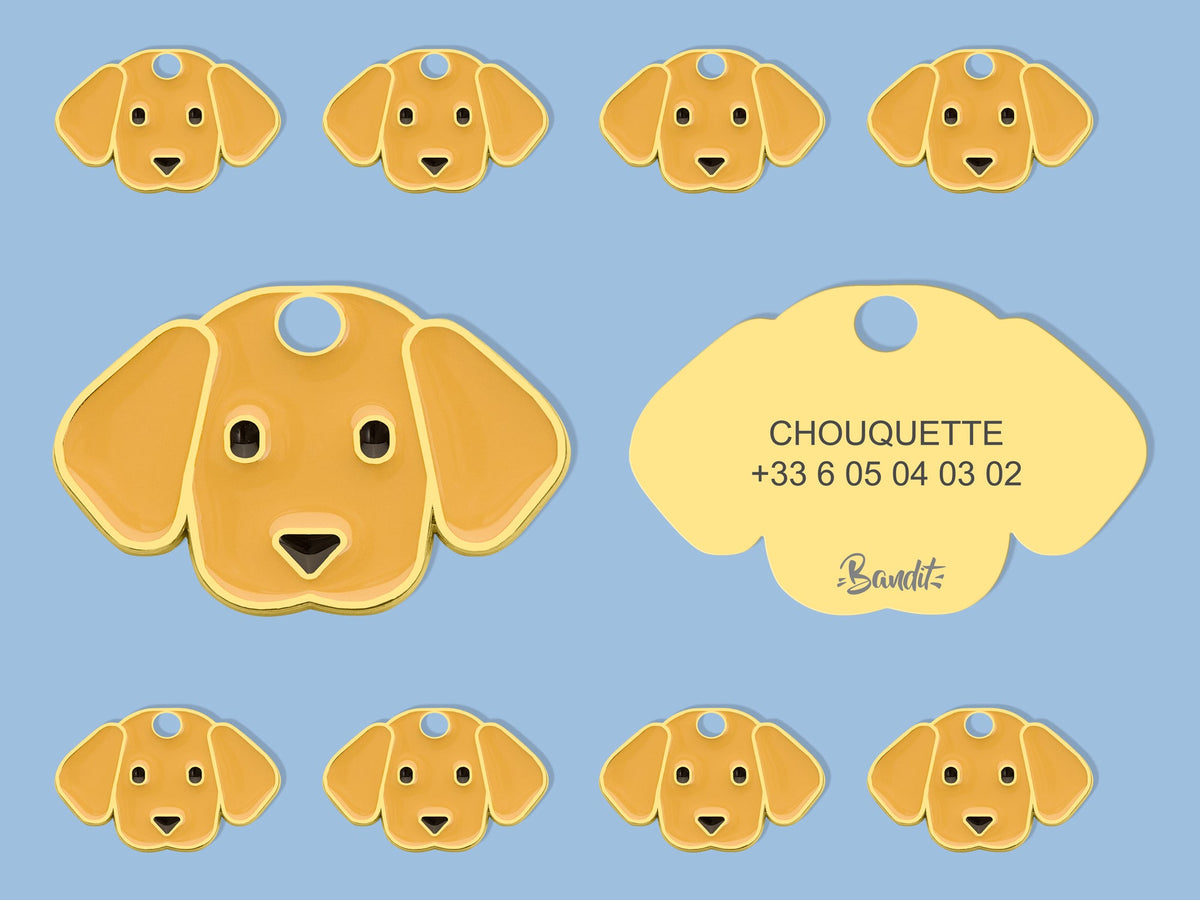 Médaille labrador pour chien