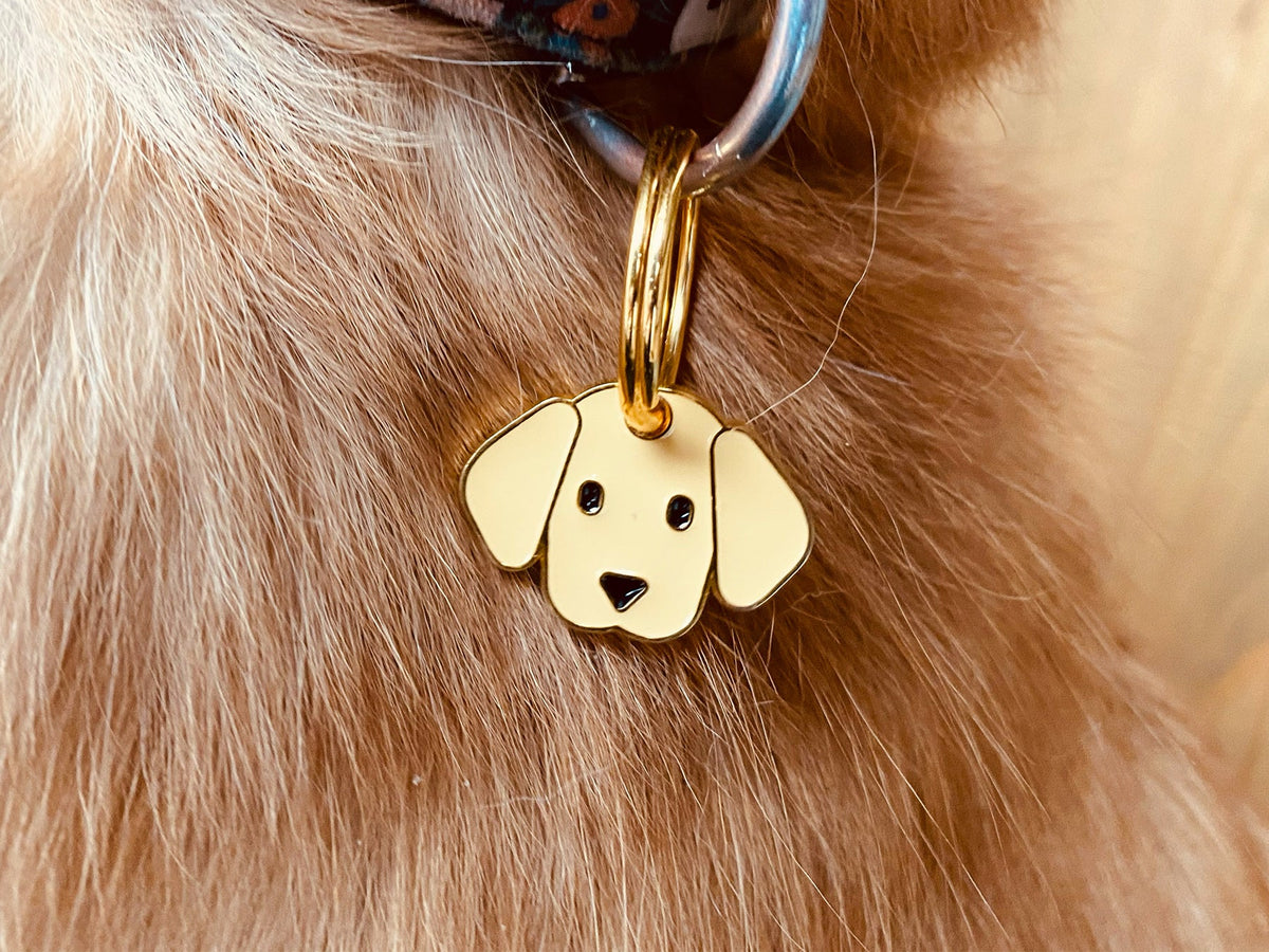 Médaille labrador pour chien