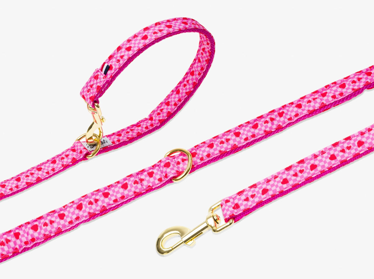 Laisse pour chien imprimé à carreaux roses et coeurs rouges.