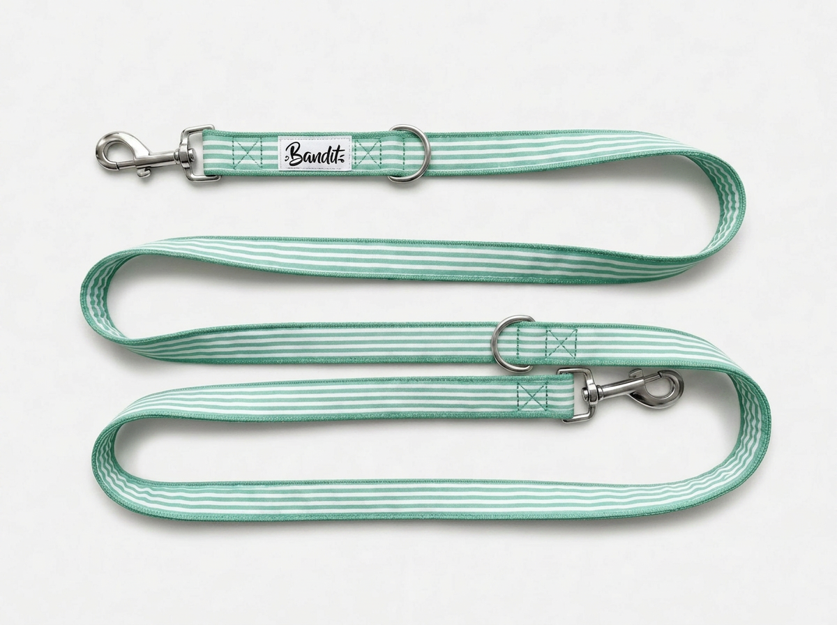 Laisse pour chien rayé vert et blanc