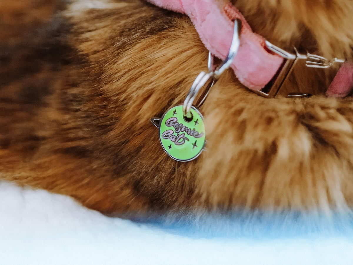 Médaille phosphorescente pour chat