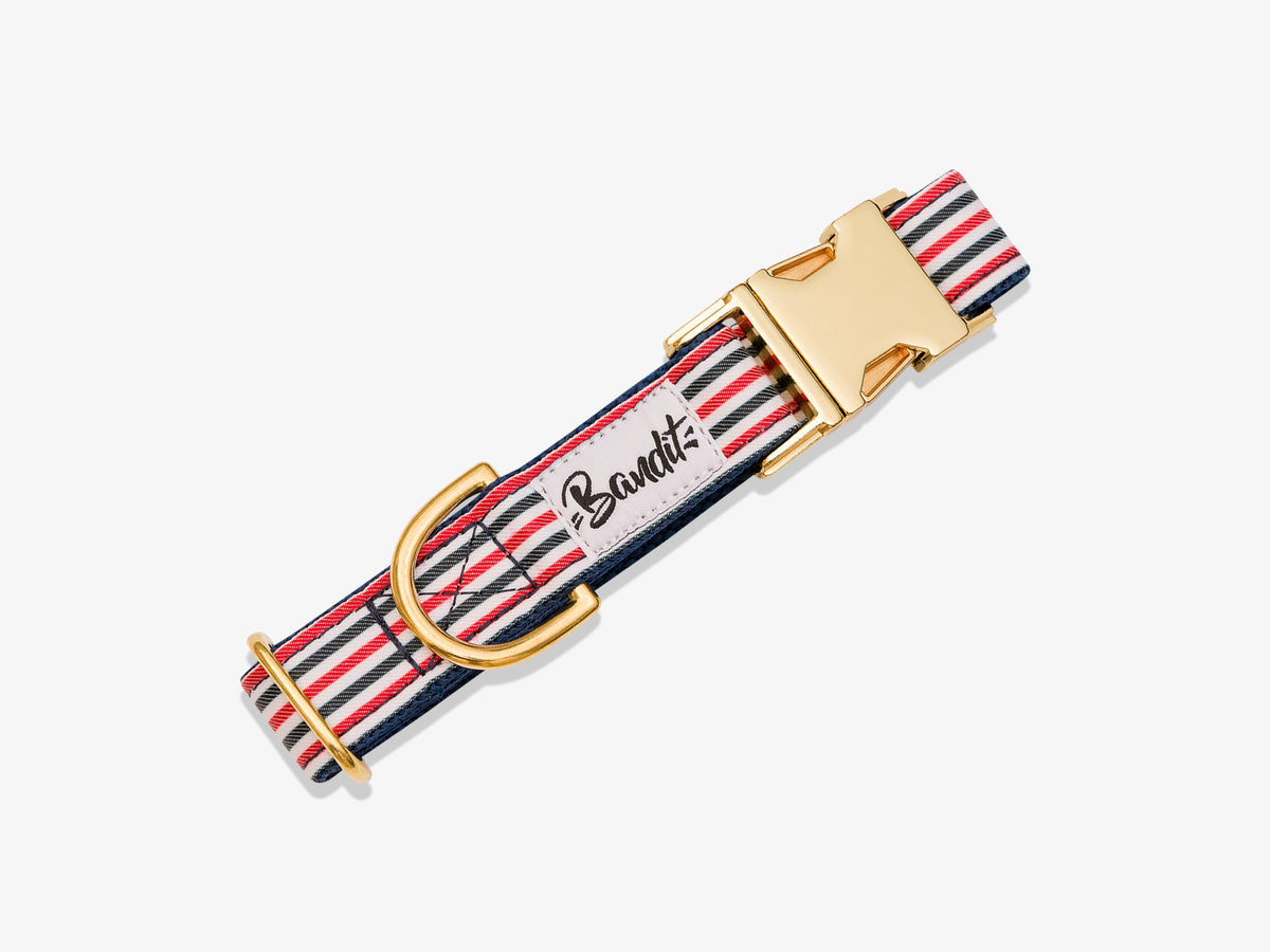 Collier chien bleu blanc rouge