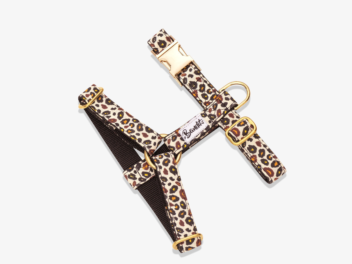 Harnais pour chien motif léopard