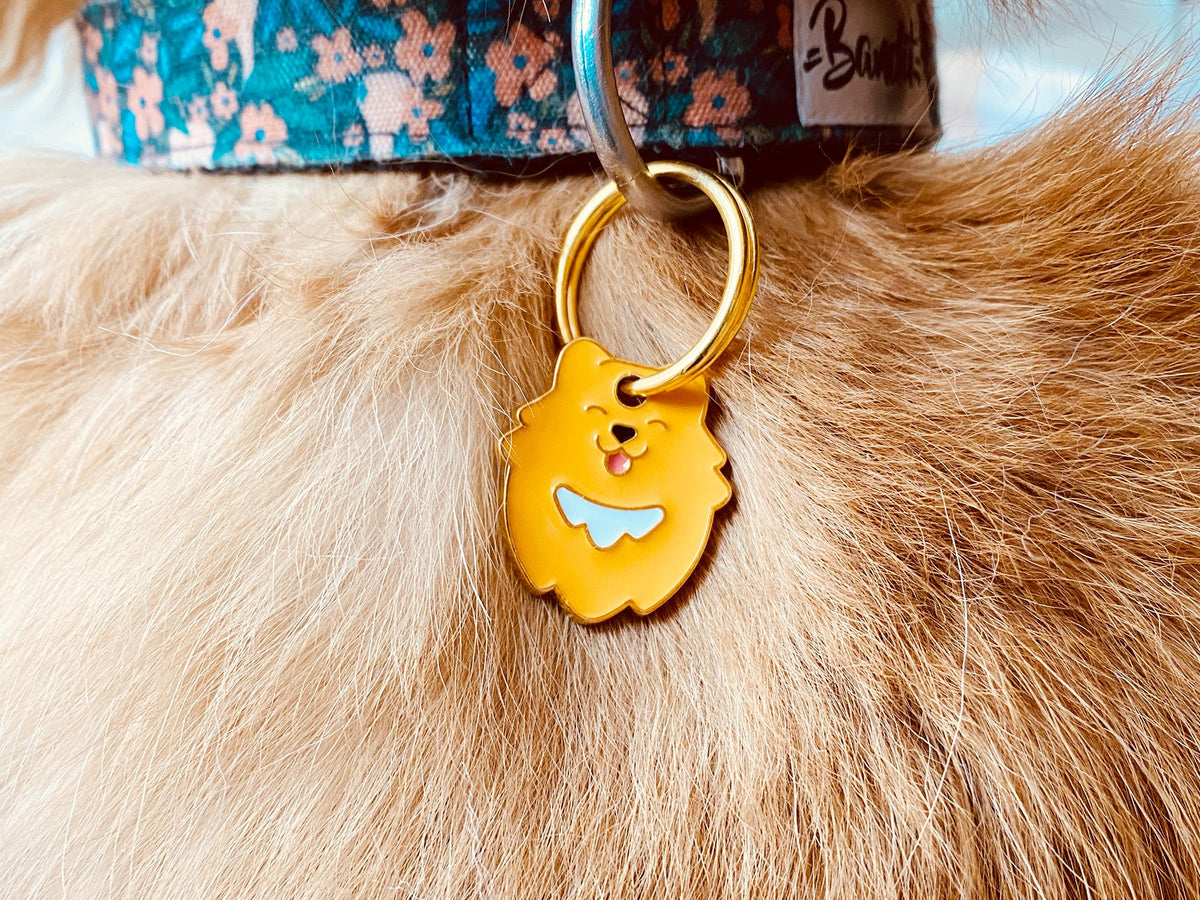 Médaille spitz pour chien