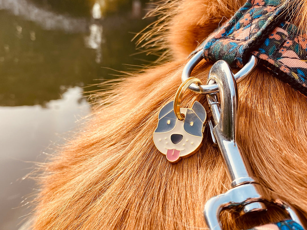 Médaille staffie pour chien