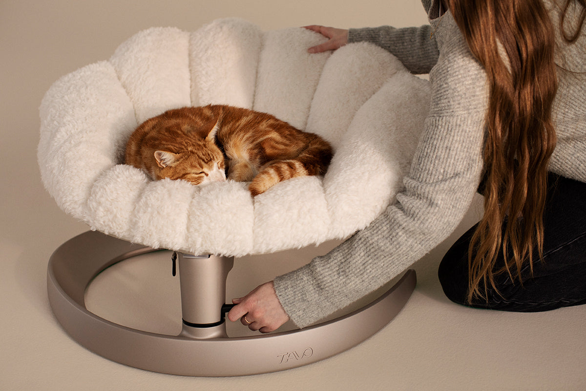 Fauteuil suspendu pour animaux Shell Tavo