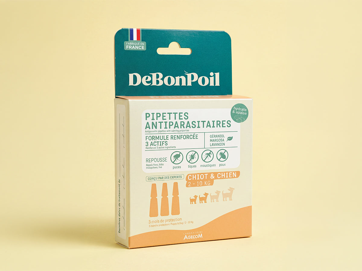 Pipettes antiparasitaires chien
