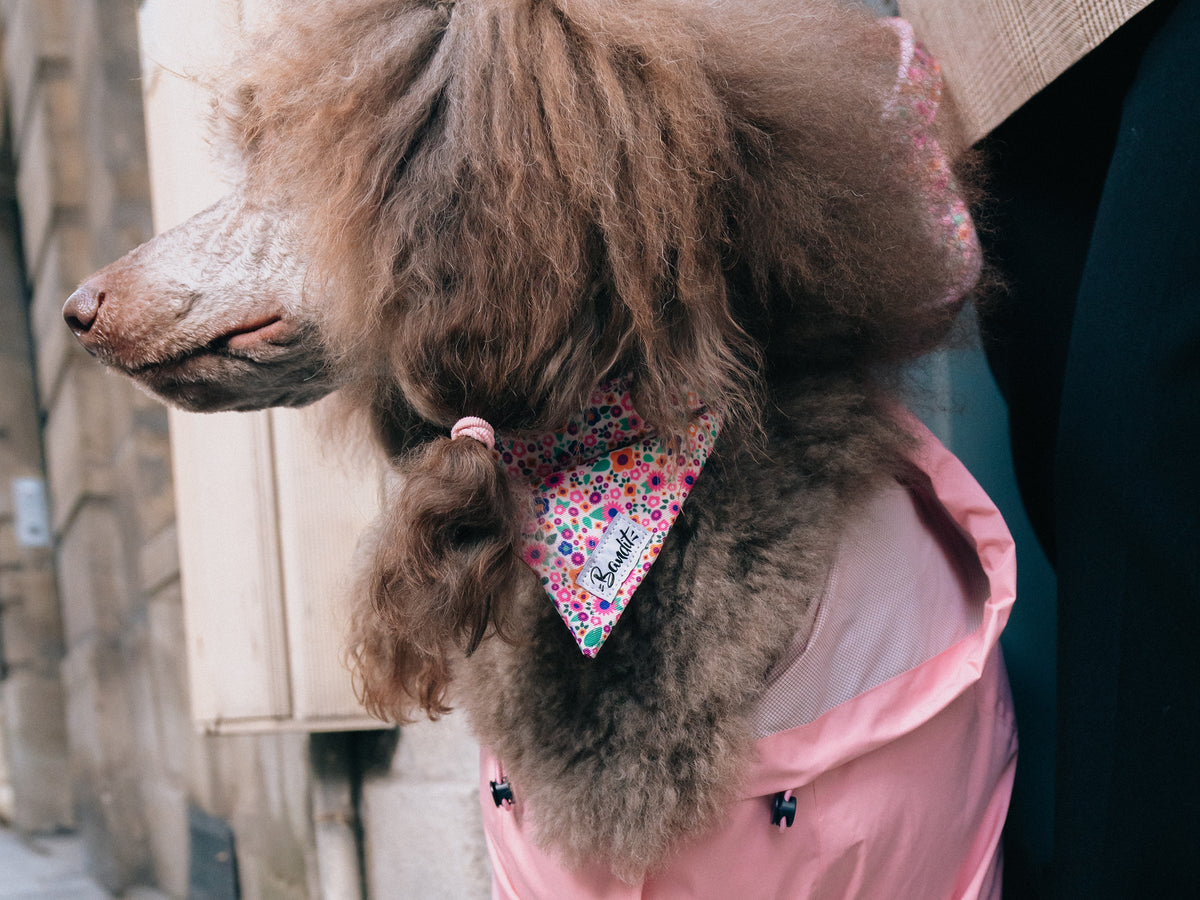 Bandana pour chien imprimé fleuri rose