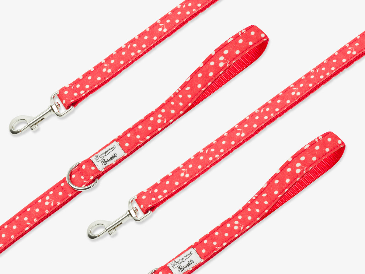 Laisse pour chien, rouge coquelicot