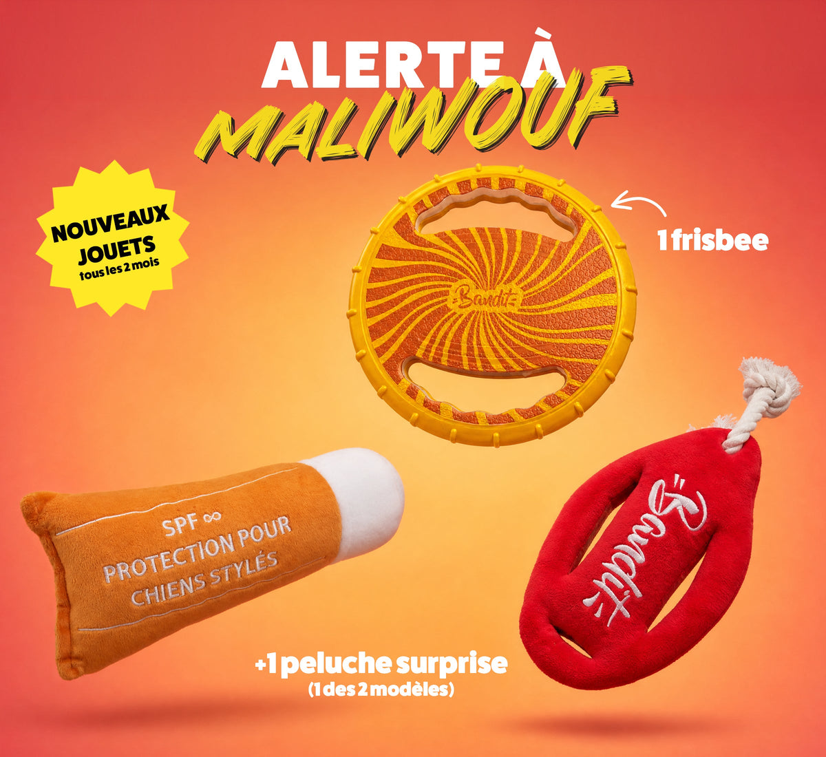 Box jouet pour chien – 2 jouets exclusifs + friandises
