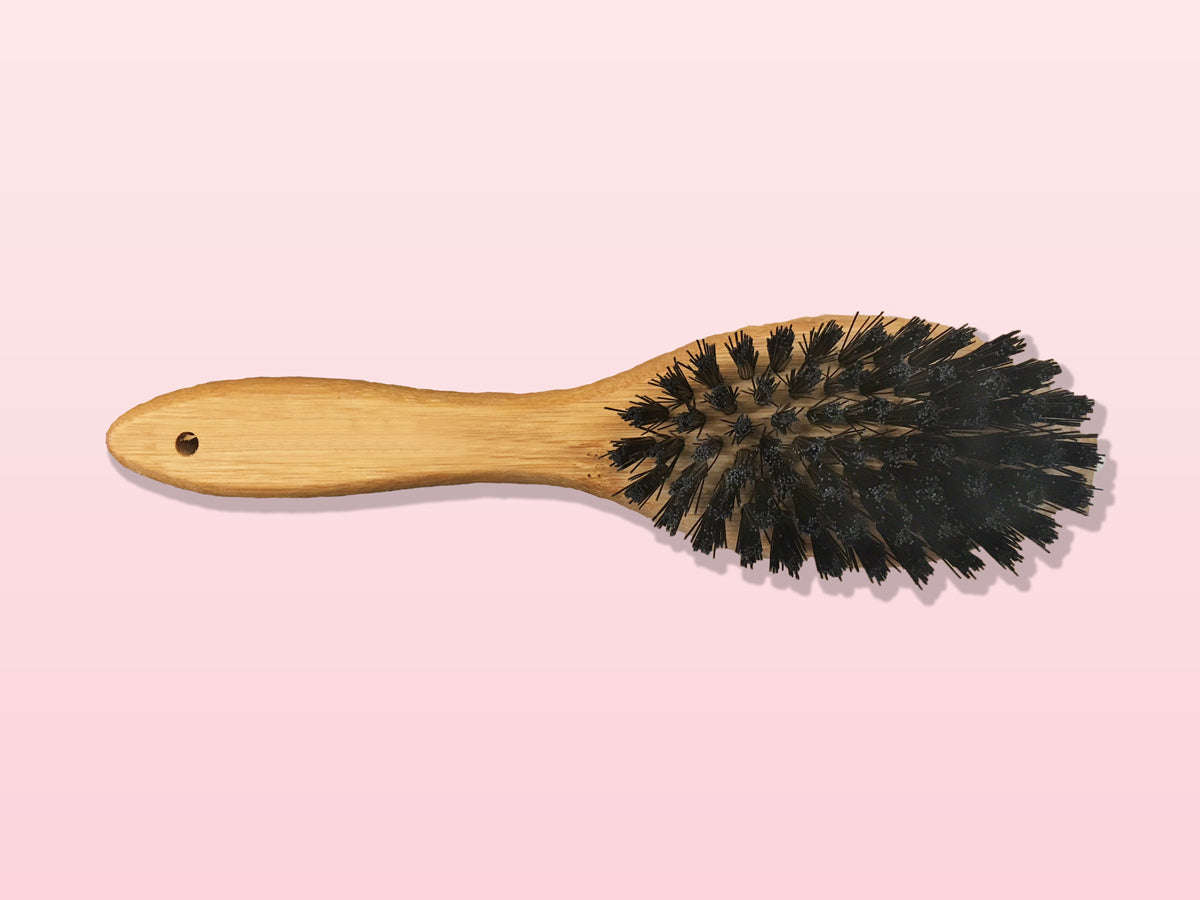 La brosse pour chien et chat