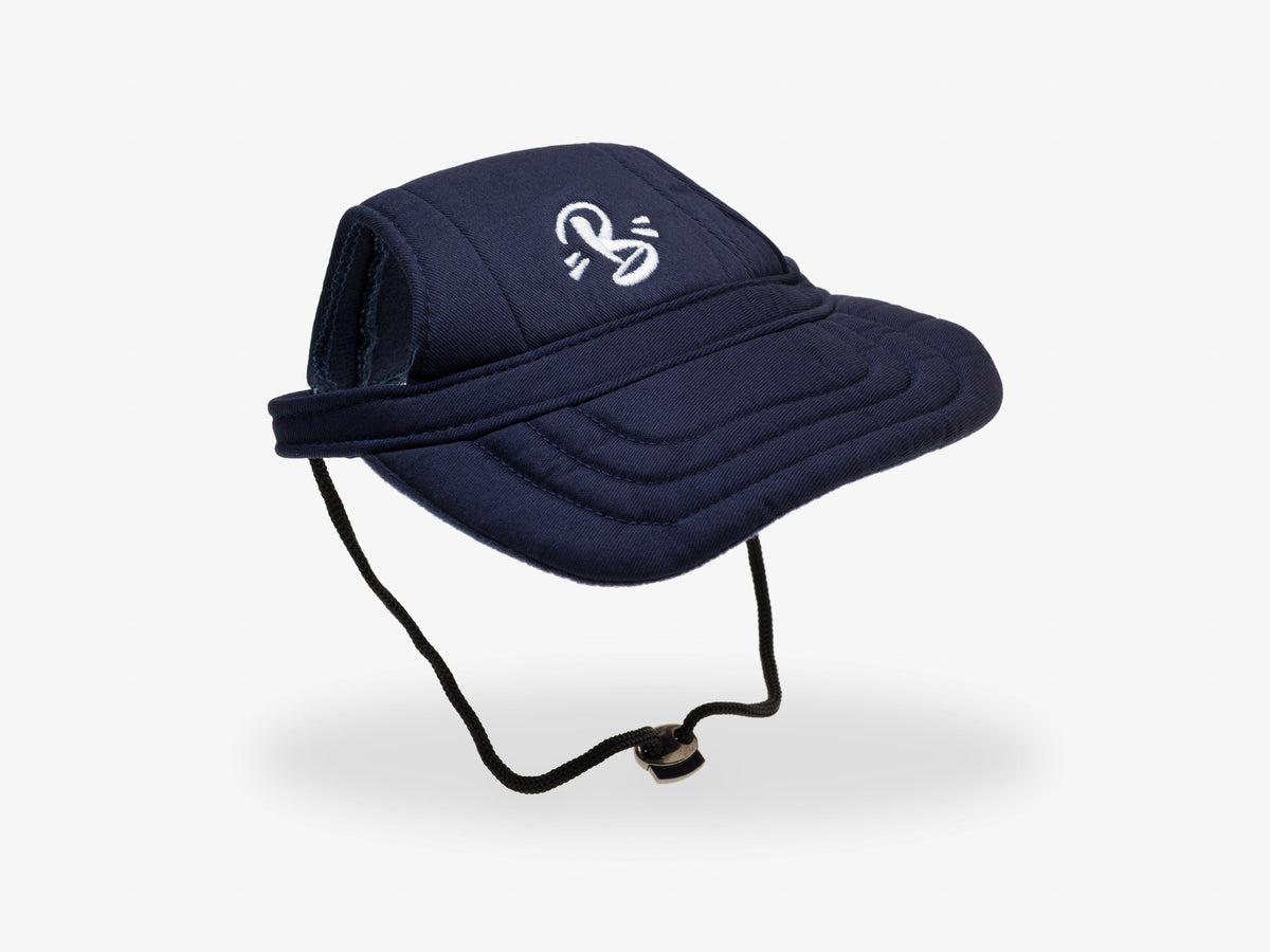 Casquette pour chien