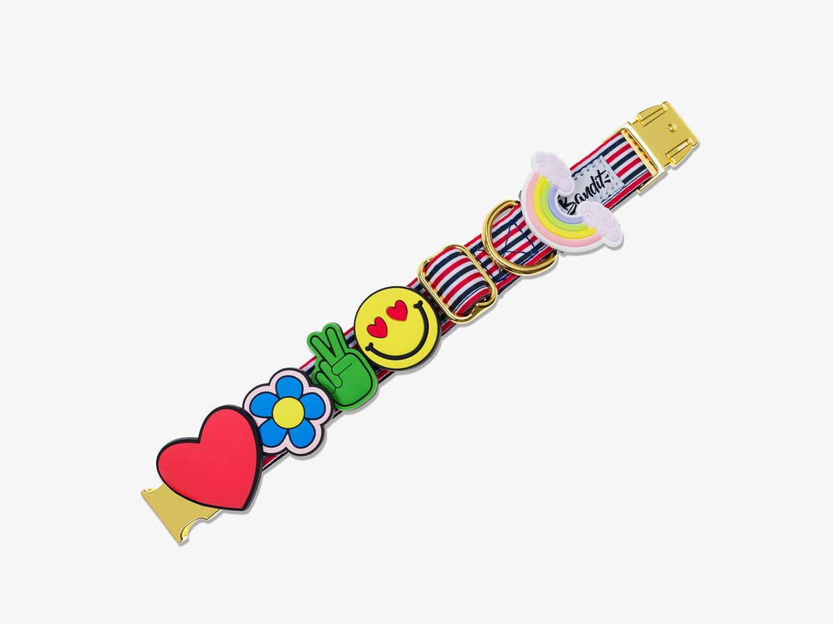 Pack de 5 bijoux en silicone pour collier, bandana, laisse, harnais