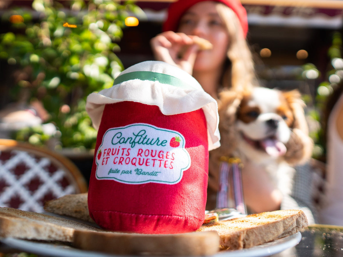 Jouet pour chien en forme de pot de confiture