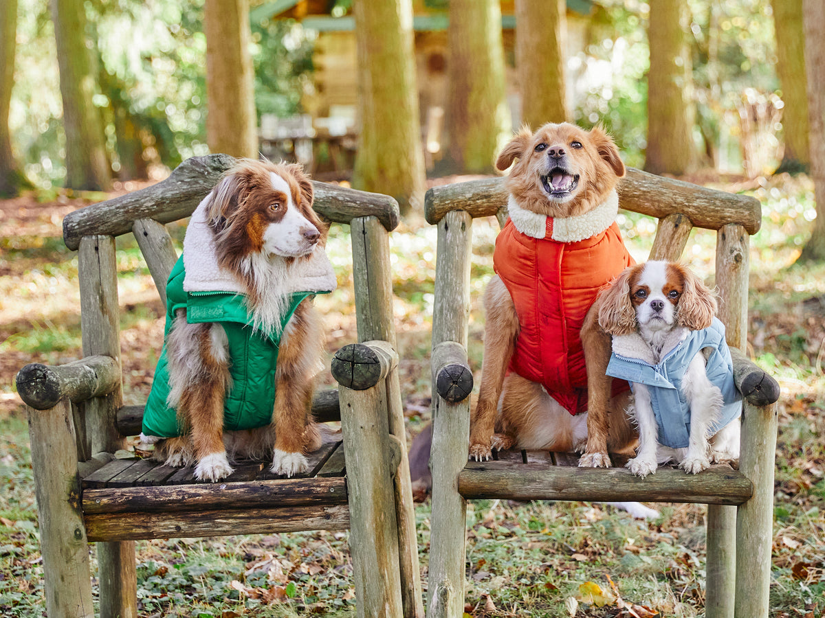 Doudoune épaisse pour chien