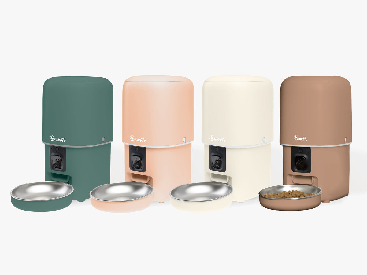 Distributeur de croquettes intelligent