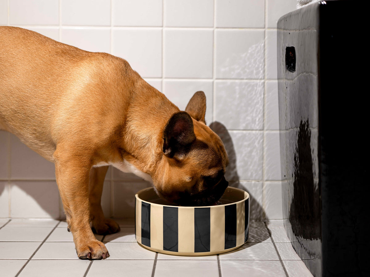 Gamelle pour chien MAMA ♥ BANDIT