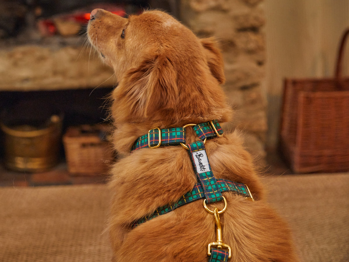 TARTAN VERT