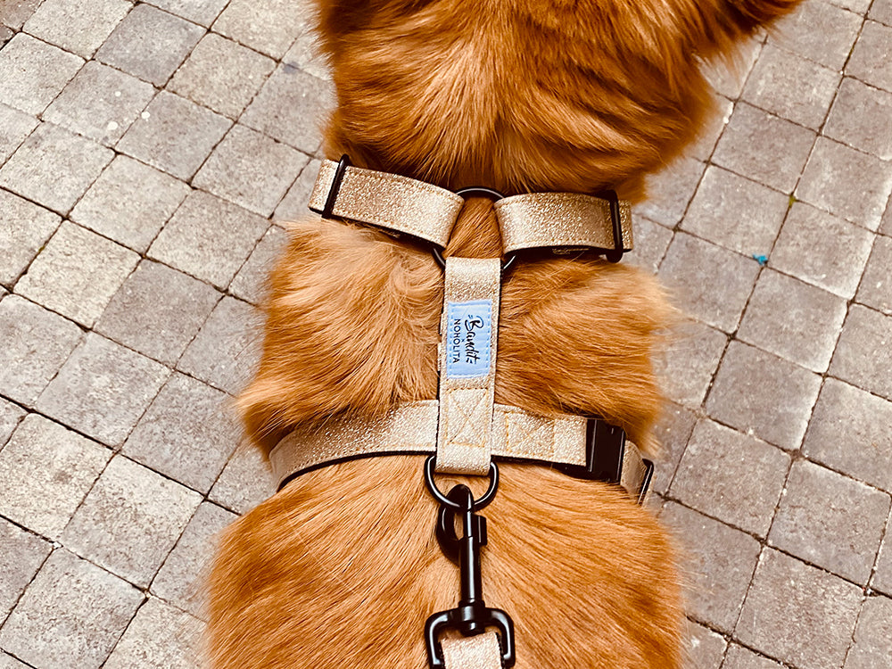 Harnais pour chien à paillettes