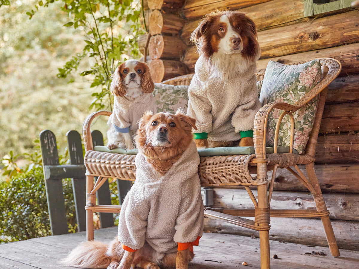 Hoodie en sherpa tout doux, pour chien