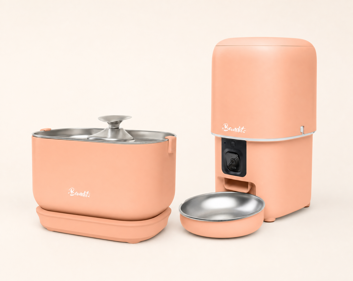Kit fontaine filaire + distributeur