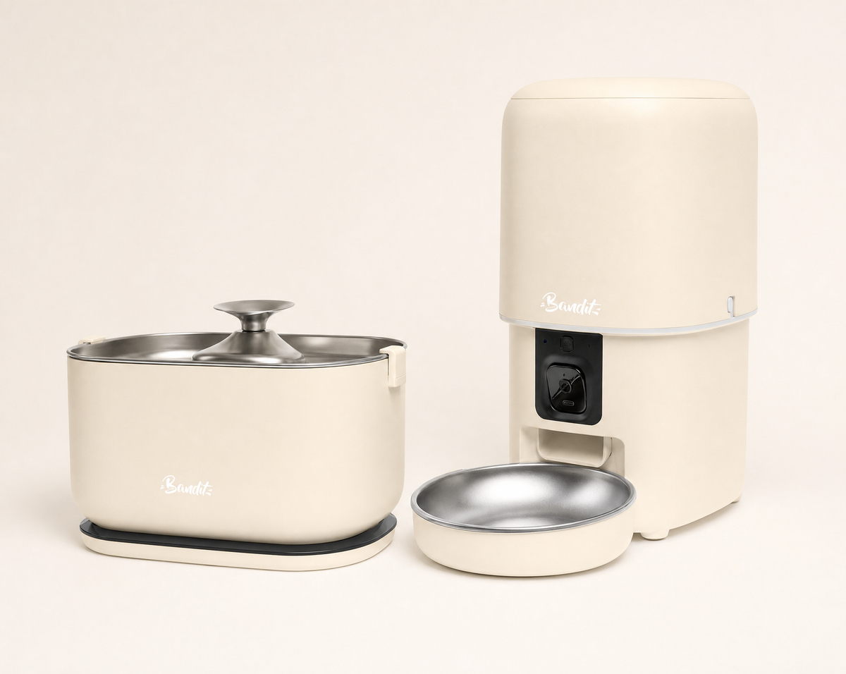 Kit fontaine sans fil + distributeur