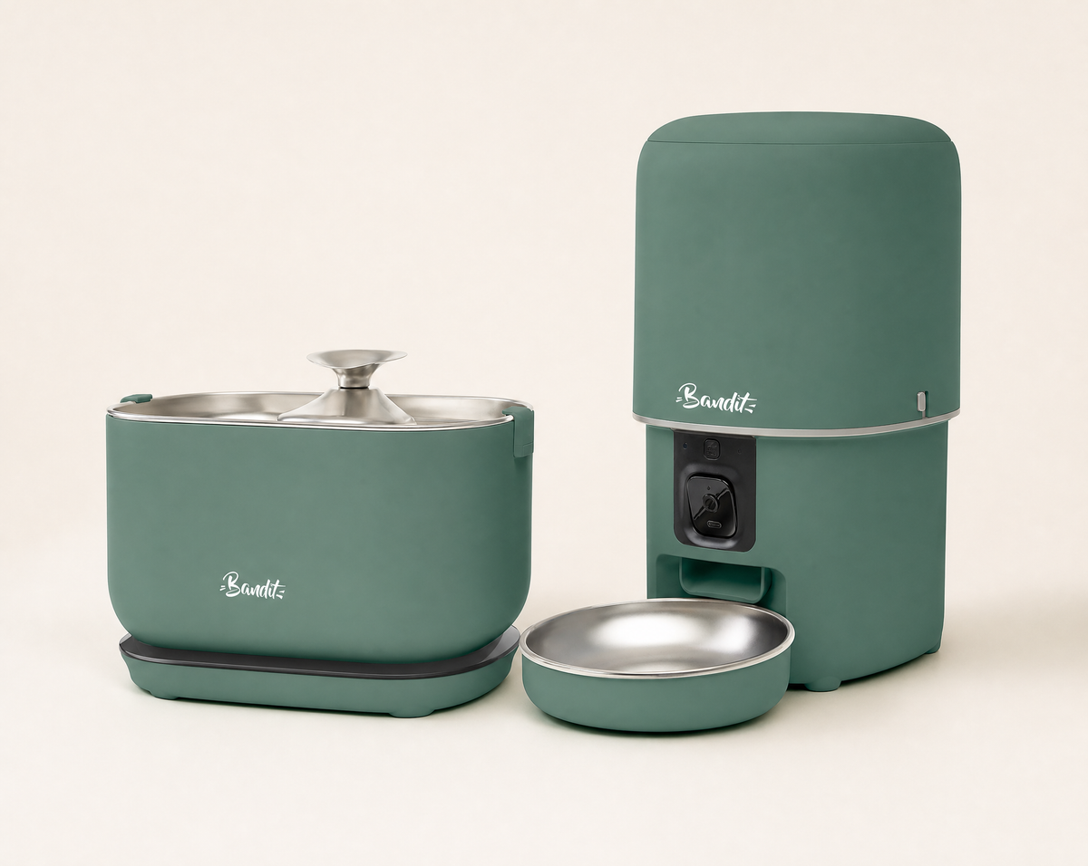 Kit fontaine sans fil + distributeur