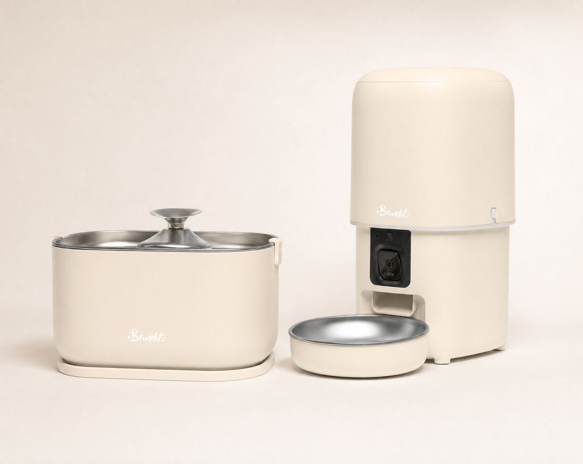 Kit fontaine filaire + distributeur