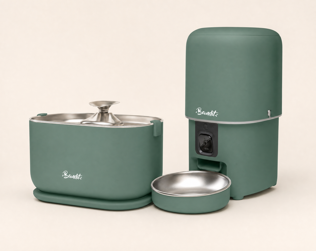 Kit fontaine filaire + distributeur