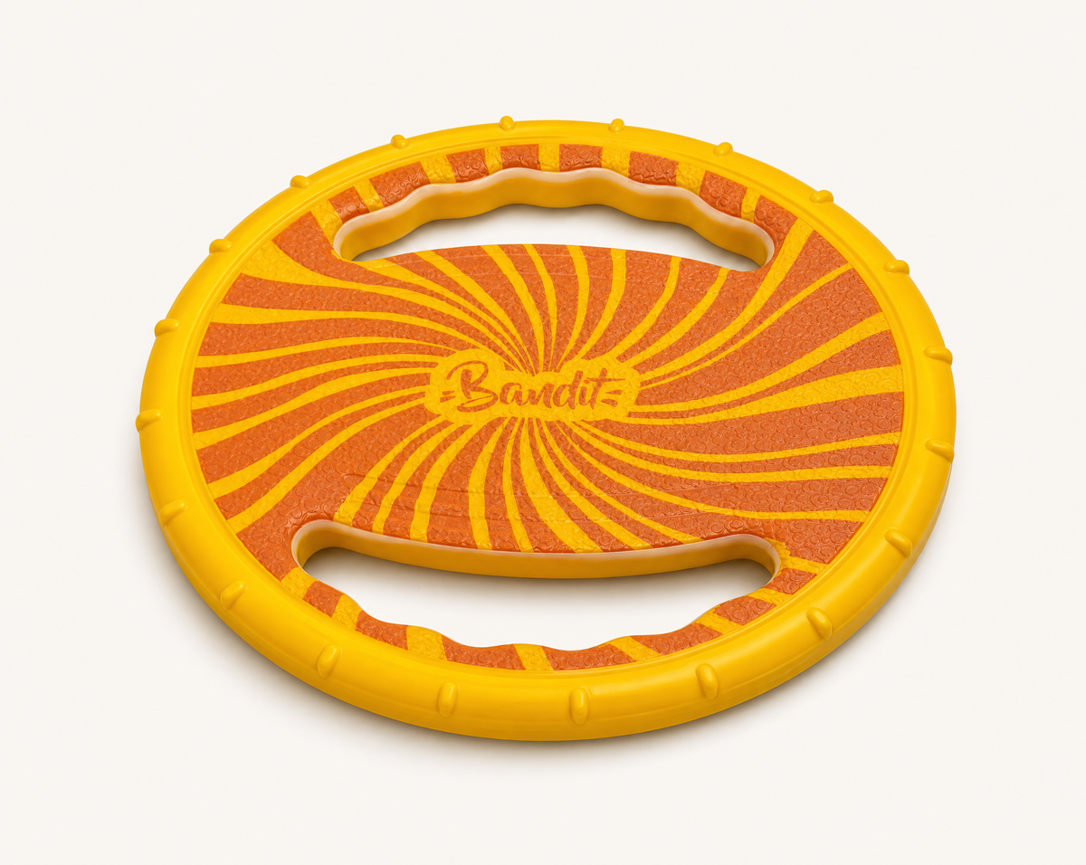 Jouet Frisbee