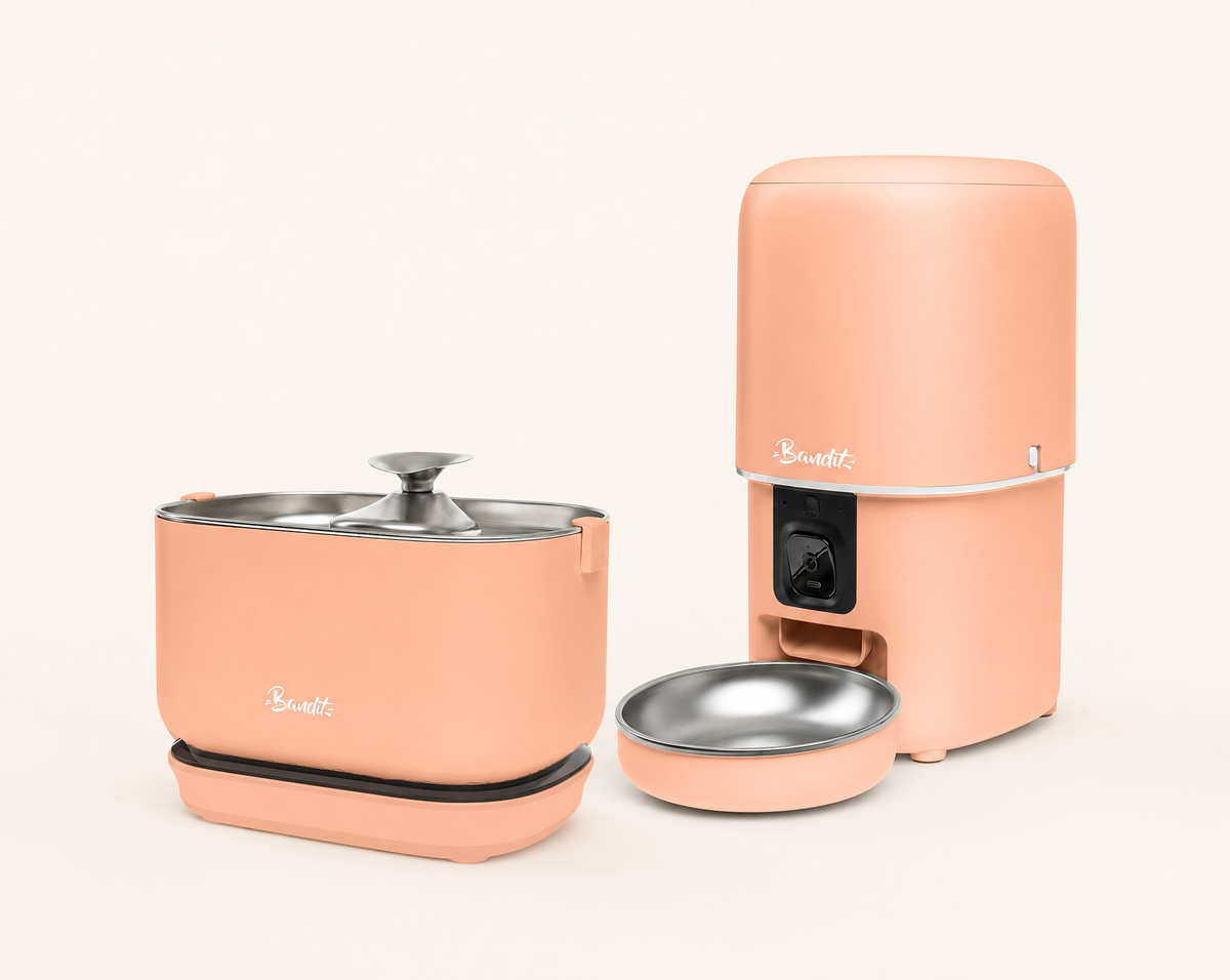 Kit fontaine sans fil + distributeur