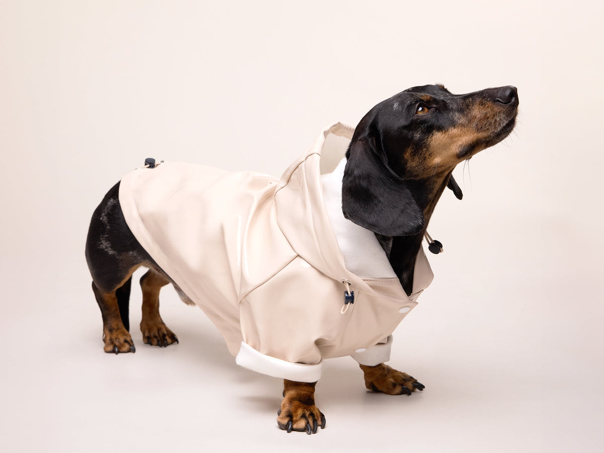 Imperméable pour chien crème