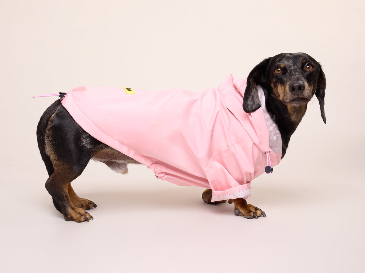 Imperméable pour chien rose