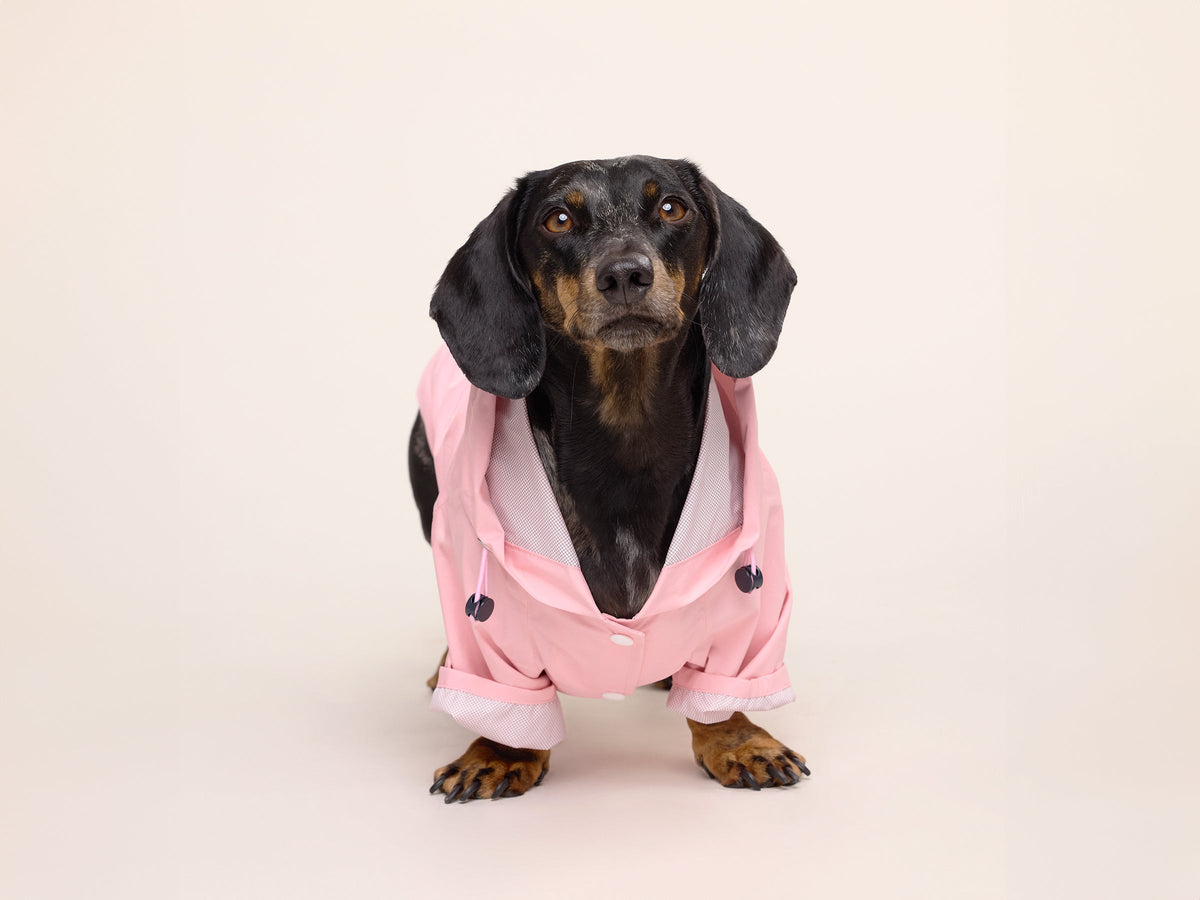 Imperméable pour chien rose