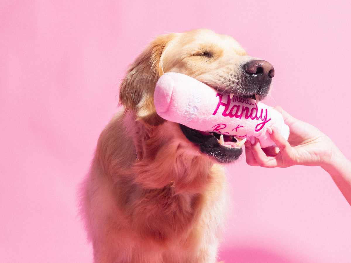Jouet lip gloss Bandit x Merci Handy