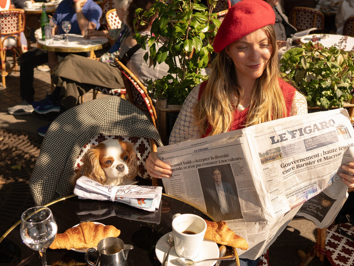 Jouet pour chien en forme journal