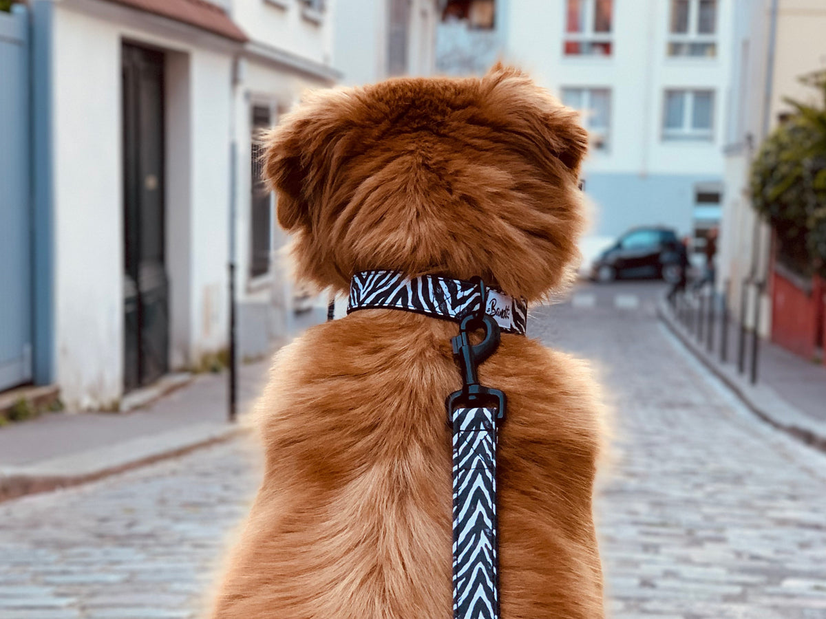 Laisse pour chien motif zèbre