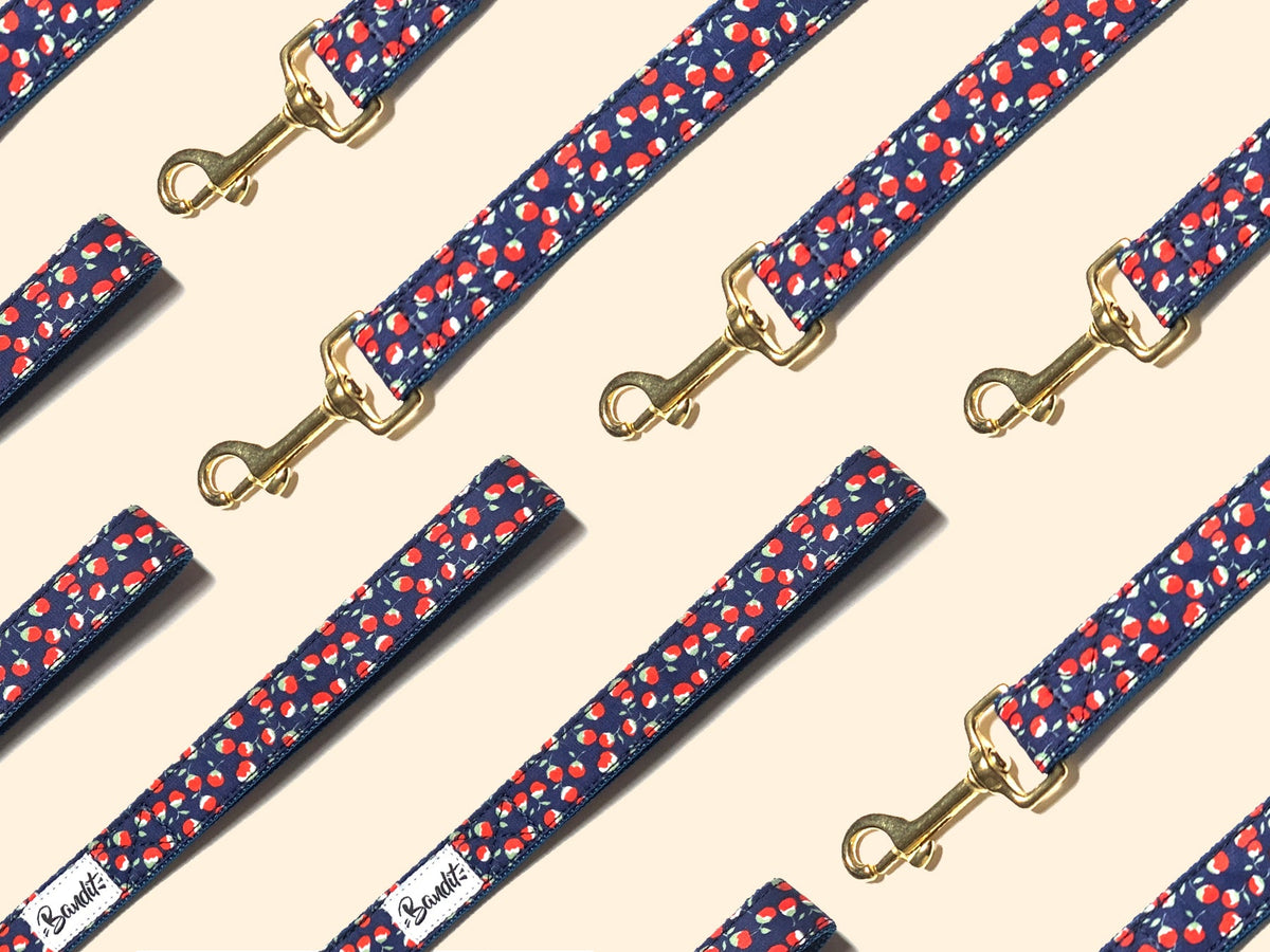 Laisse pour chien coquelicot