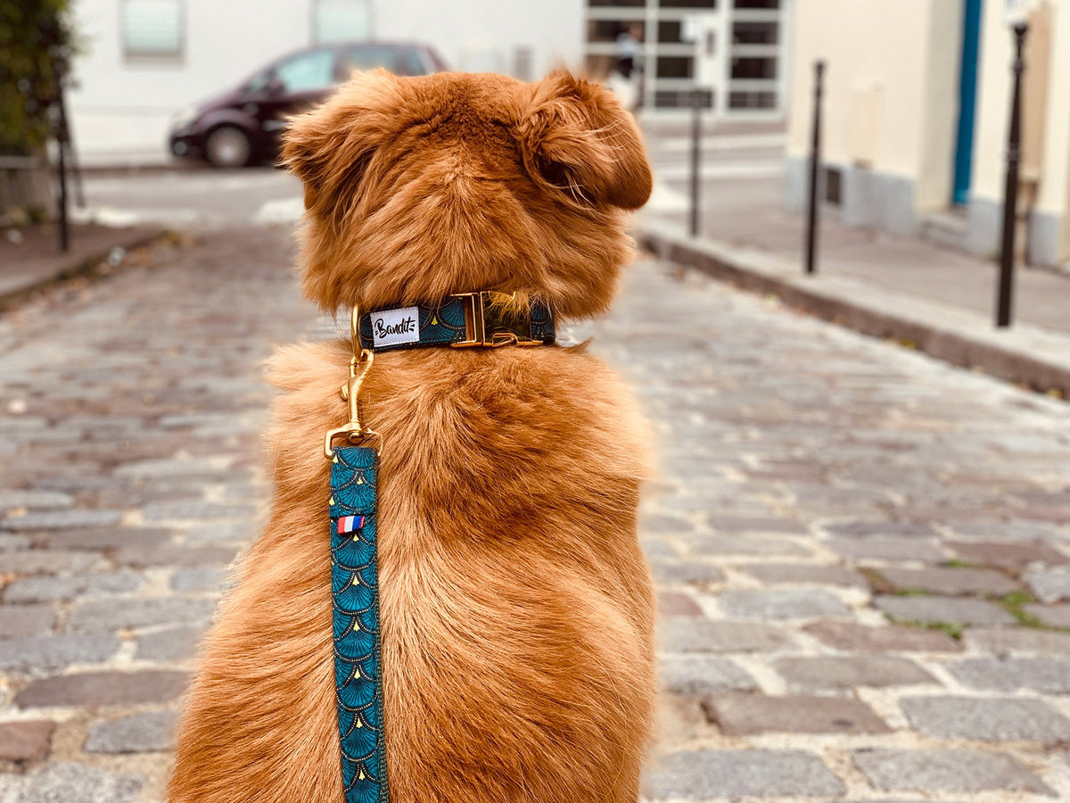 Laisse pour chien verte