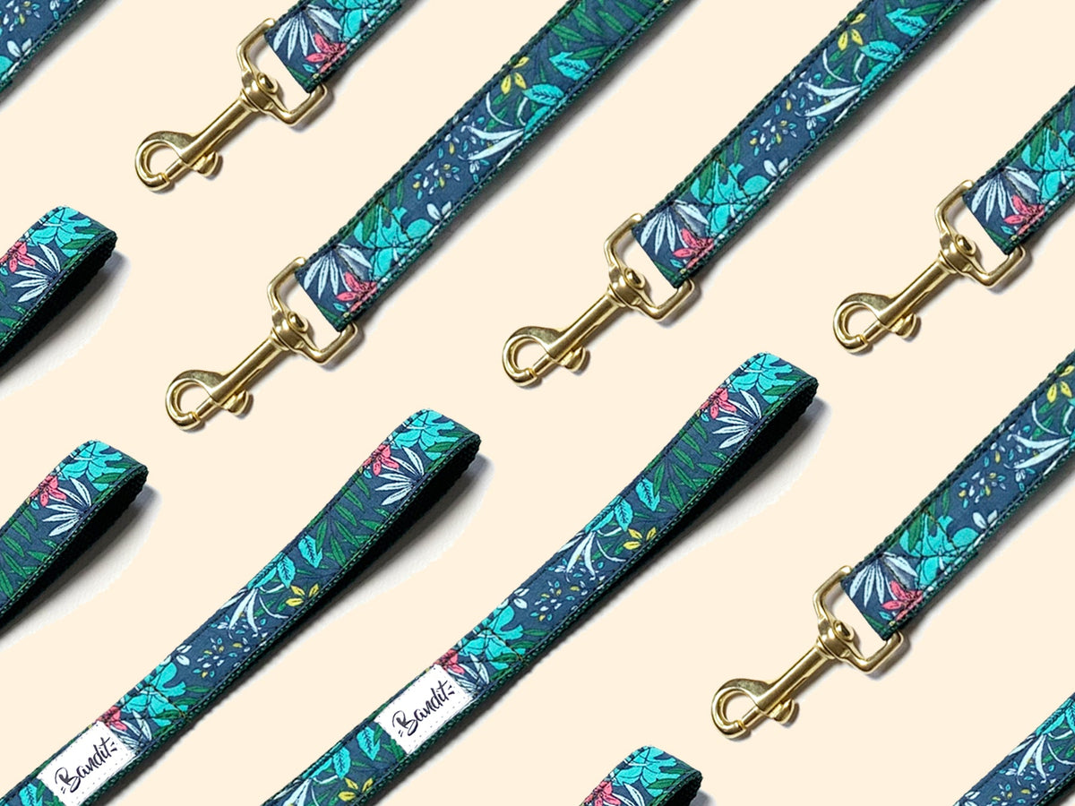 Laisse pour chien tropical