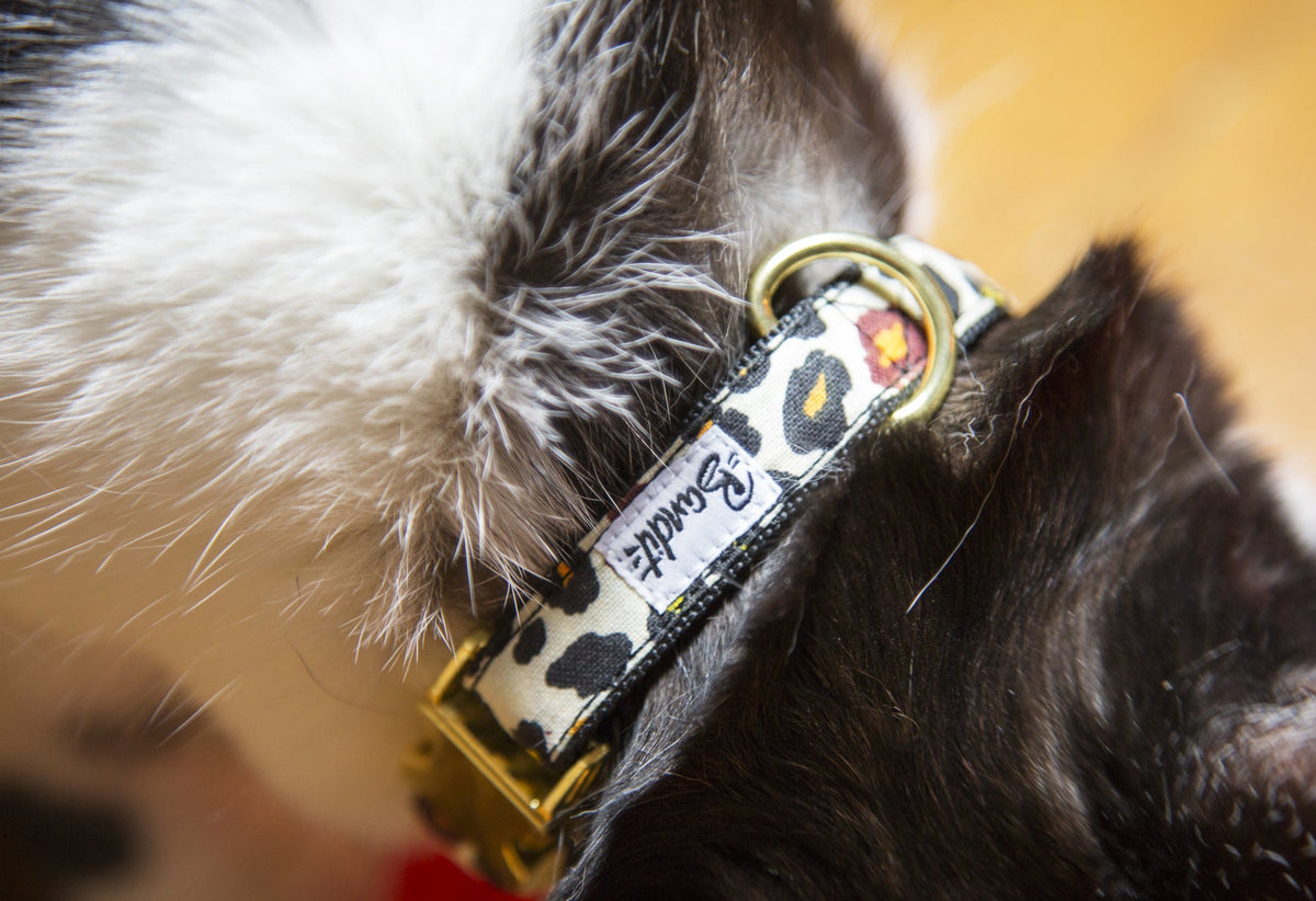 Collier pour chat motif léopard