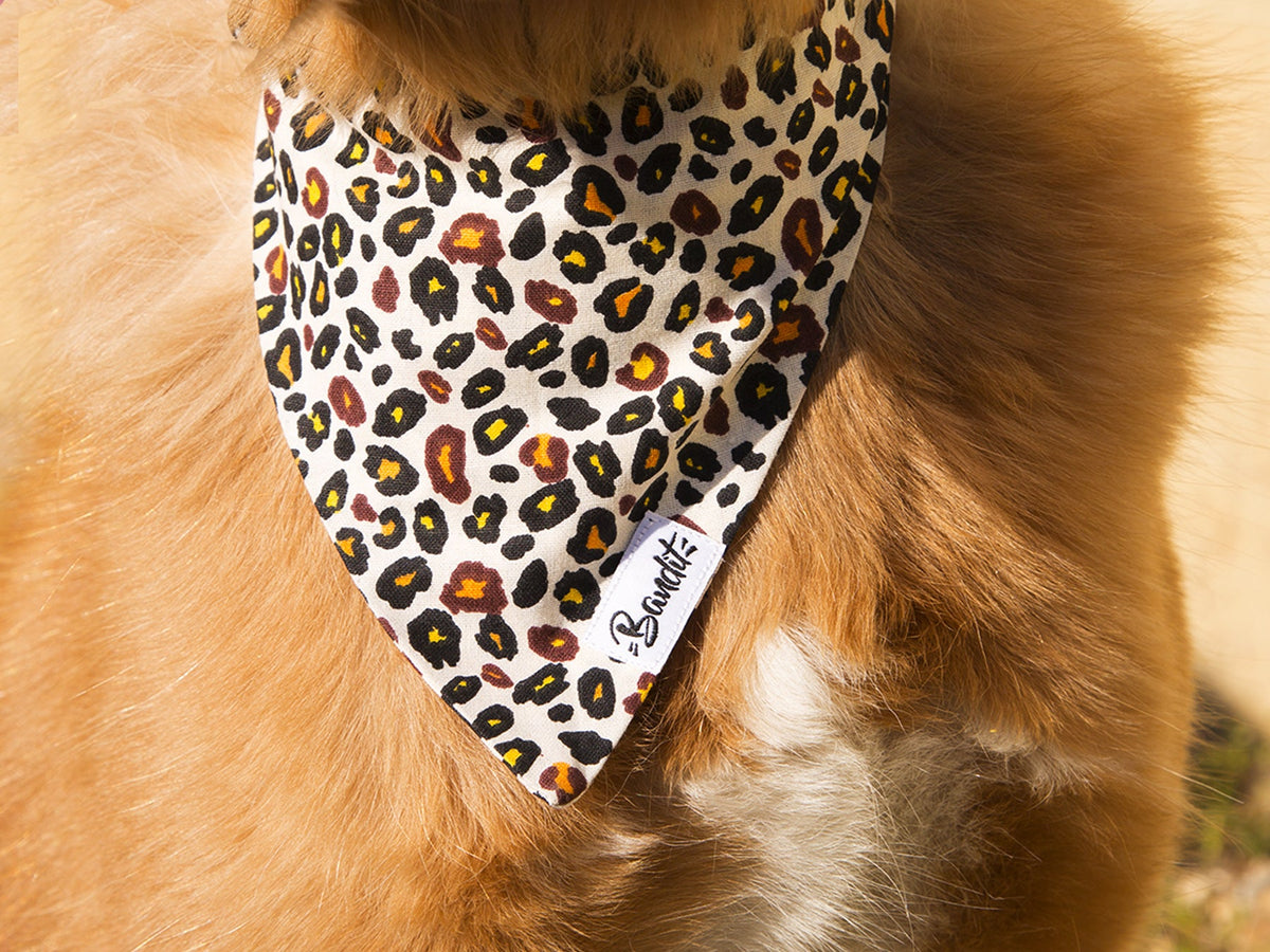 Bandana pour chien motif léopard