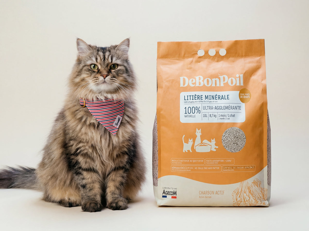 Litière minérale pour tous les chats (x2)