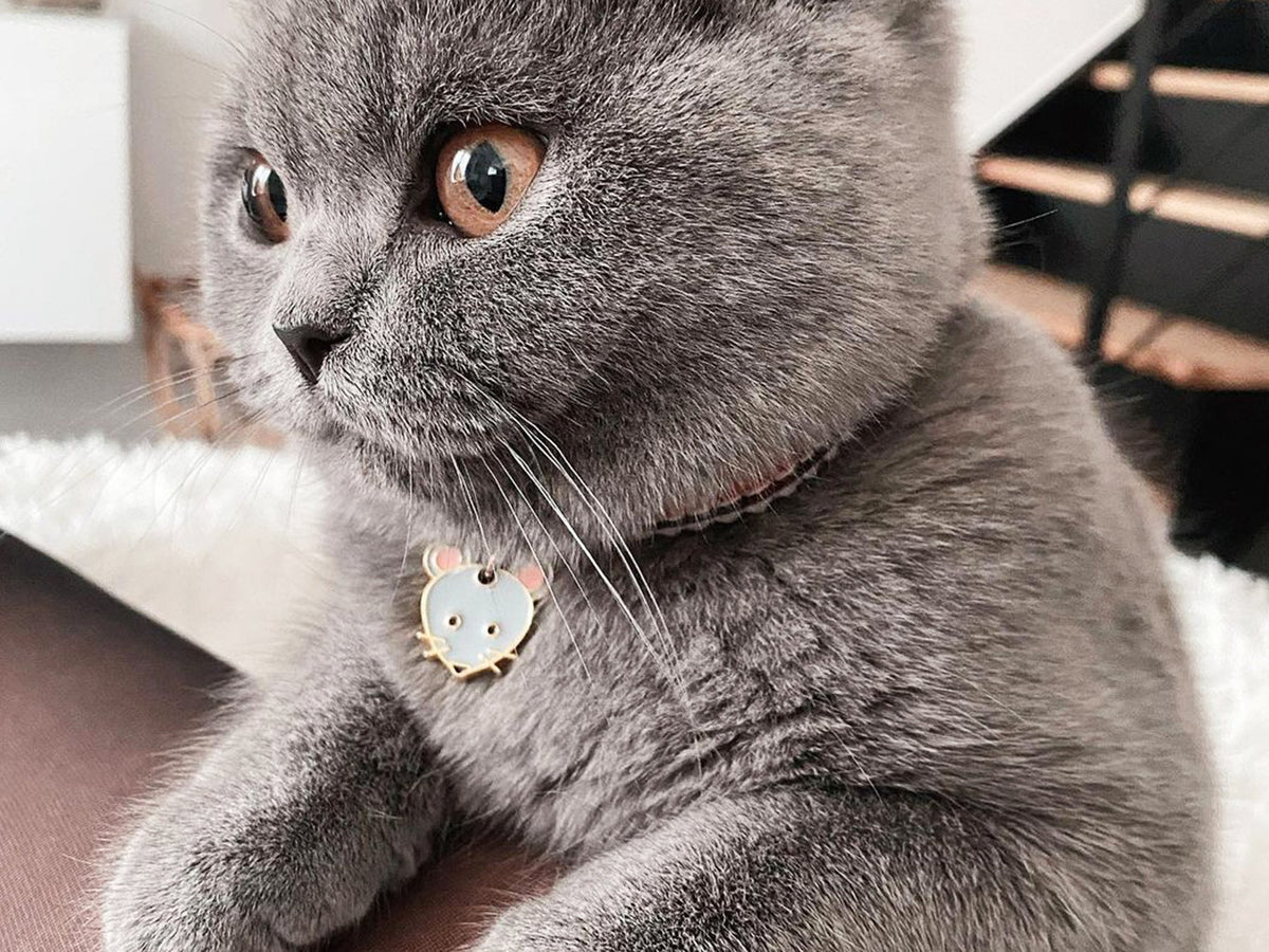 La médaille souris à graver pour chat
