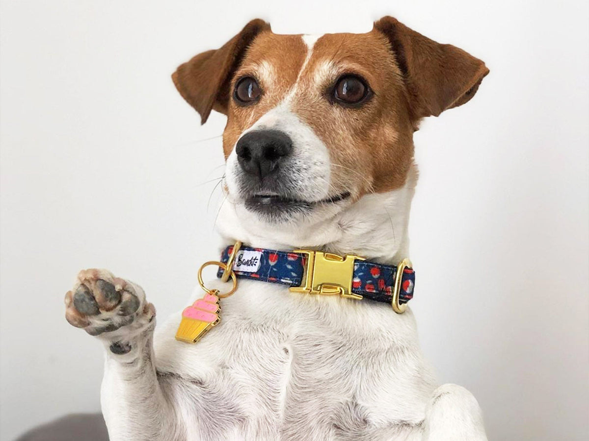 Médaille cupcake pour chien